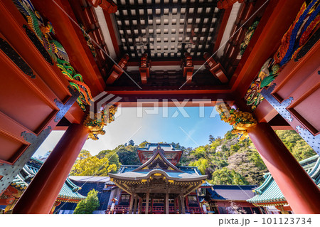 静岡浅間神社の春 101123734