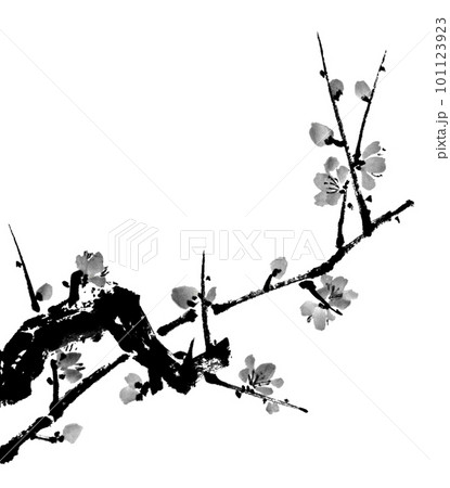 水墨画技法で描いた墨梅 101123923