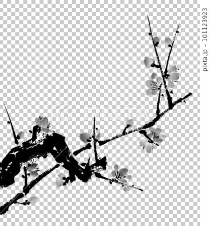 水墨画技法で描いた墨梅 101123923