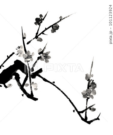 水墨画技法で描いた墨梅 101123924