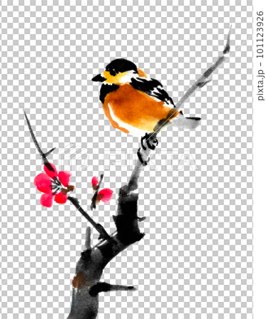 水墨畫梅枝上棲息的山鳥 101123926