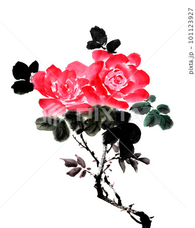 水墨画技法で描いた薔薇のイラスト素材 [101123927] - PIXTA