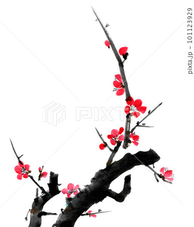 中国美術 水墨画【紅梅】額装 壁掛 絵画 【公式通販】