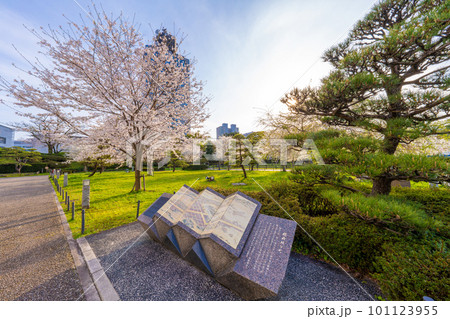 駿府城公園の春 駿府城公園の春 101123955