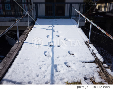 【日本】長野、桟橋に積もった雪に残る人の足跡 101123969