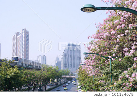 Bangkok Skytrain and Chompoo Pantip at Mochit, BKK Bangkok Skytrain and Chompoo Pantip at Mochit, BKK 101124079