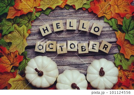 Hello October alphabet letter with pumpkin and maple leaves decoration on wooden background 101124556