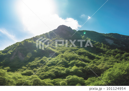 Beautiful sunrise over the green mountains in morning light with fluffy clouds on a bright blue sky. Nature freshness concept 101124954