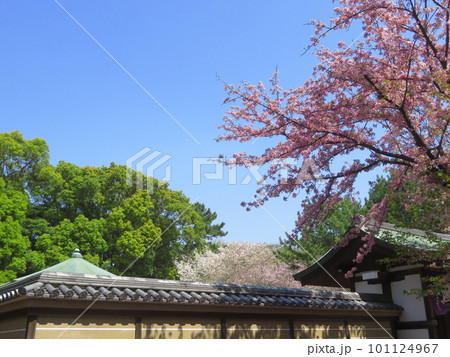 日蓮聖人御廟所　池上本門寺 101124967