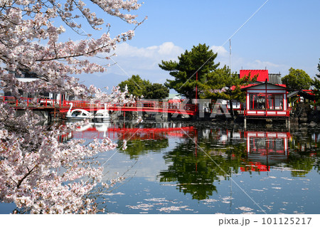 桜満開の御嶽山白龍神社 101125217