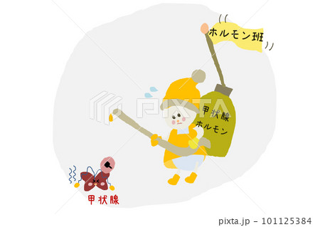 甲状腺　機能低下　ホルモンのかわいいイラスト 101125384