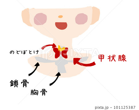 甲状腺のかわいいイラスト 101125387