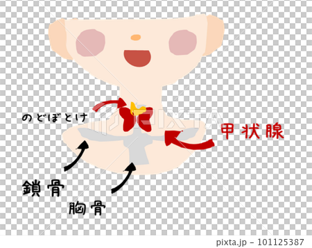 甲状腺のかわいいイラスト 101125387