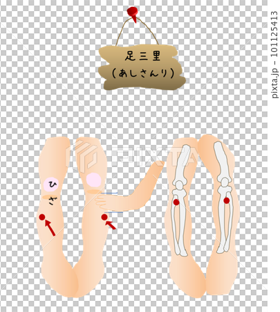 Acupuncture points Ashisanri's cute illustration 2 101125413