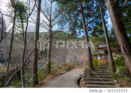 神蔵寺 神蔵寺 101125531