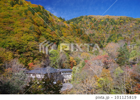 秋の紅葉にそまる白骨温泉 101125819