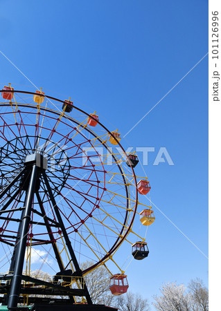 春の遊園地の観覧車 101126996