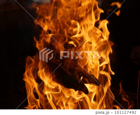 鰹の藁焼き 101127492