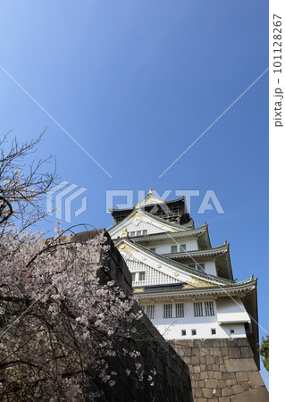 春の青空に映える満開の桜 春の青空に映える満開の桜 101128267