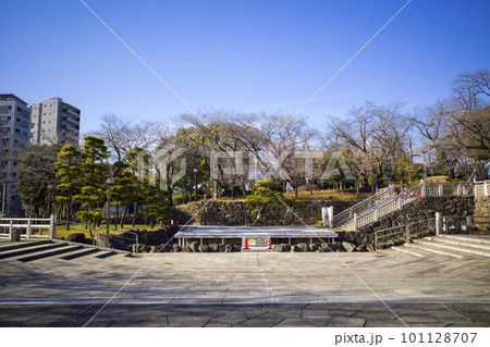 飛鳥山公園の風景 101128707