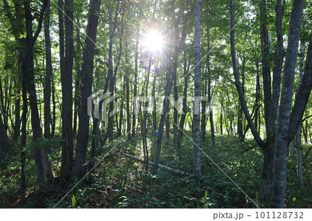 旅する女性 北海道編 旅する女性 北海道編 101128732