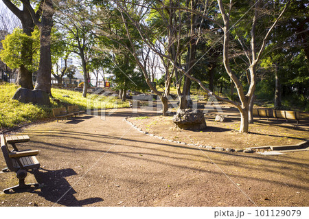 飛鳥山公園の風景 飛鳥山公園の風景 101129079
