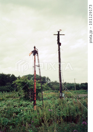 夕張鉄道 北海鋼機前駅跡 信号機 夕張鉄道 北海鋼機前駅跡 信号機 101129173