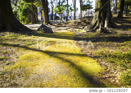 飛鳥山公園の風景 飛鳥山公園の風景 101129207