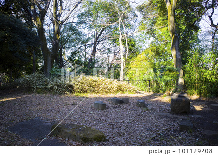 飛鳥山公園の風景 飛鳥山公園の風景 101129208
