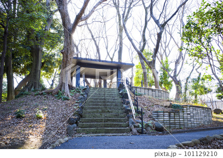 飛鳥山公園の風景 飛鳥山公園の風景 101129210