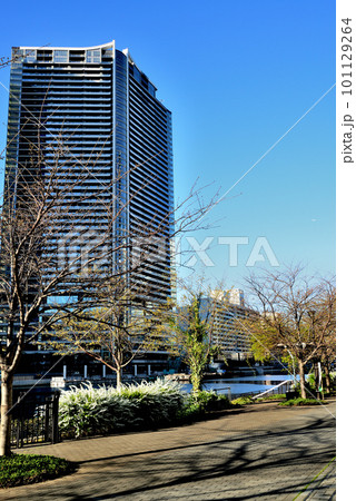 勝どきエリア パークタワー勝どきサウスとミッドほか超高層マンション群の風景 101129264
