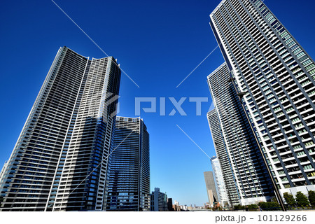 勝どきエリア パークタワー勝どきサウスとミッドほか超高層マンション群の風景 勝どきエリア パークタワー勝どきサウスとミッドほか超高層マンション群の風景 101129266
