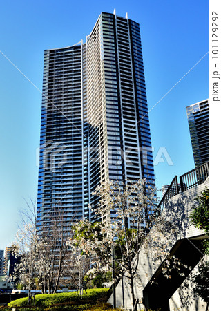 勝どきエリア パークタワー勝どきサウスとミッドほか超高層マンション群の風景 101129292