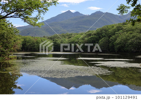 夏の北海道、最果ての地・知床半島で味わう知床五胡ネイチャーウォーク 夏の北海道、最果ての地・知床半島で味わう知床五胡ネイチャーウォーク 101129491