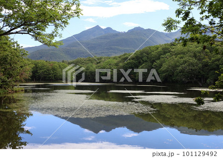 夏の北海道、最果ての地・知床半島で味わう知床五胡ネイチャーウォーク 101129492