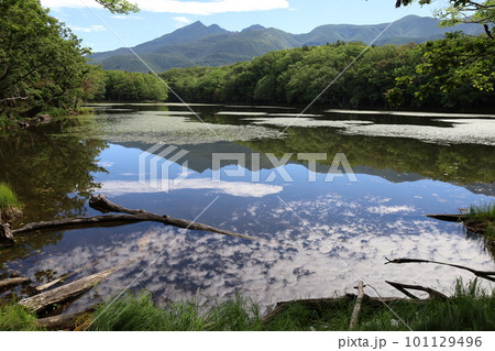 夏の北海道、最果ての地・知床半島で味わう知床五胡ネイチャーウォーク 101129496