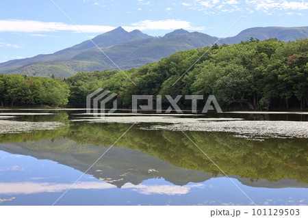 夏の北海道、最果ての地・知床半島で味わう知床五胡ネイチャーウォーク 夏の北海道、最果ての地・知床半島で味わう知床五胡ネイチャーウォーク 101129503