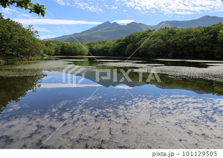 夏の北海道、最果ての地・知床半島で味わう知床五胡ネイチャーウォーク 夏の北海道、最果ての地・知床半島で味わう知床五胡ネイチャーウォーク 101129505