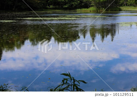 夏の北海道、最果ての地・知床半島で味わう知床五胡ネイチャーウォーク 夏の北海道、最果ての地・知床半島で味わう知床五胡ネイチャーウォーク 101129511