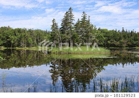 夏の北海道、最果ての地・知床半島で味わう知床五胡ネイチャーウォーク 101129523