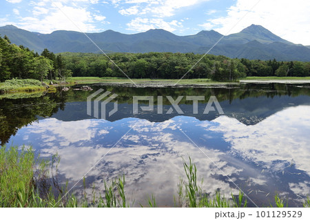 夏の北海道、最果ての地・知床半島で味わう知床五胡ネイチャーウォーク 夏の北海道、最果ての地・知床半島で味わう知床五胡ネイチャーウォーク 101129529