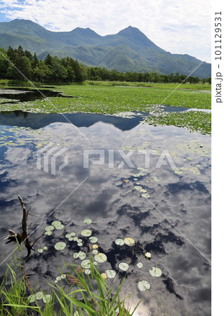 夏の北海道、最果ての地・知床半島で味わう知床五胡ネイチャーウォーク 夏の北海道、最果ての地・知床半島で味わう知床五胡ネイチャーウォーク 101129531