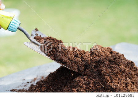 Peat moss, fertilizer soil for organic agriculture, plant growing, ecology concept. Peat moss, fertilizer soil for organic agriculture, plant growing, ecology concept. 101129683