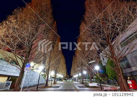 横浜・港北ニュータウンの夜景 101129942