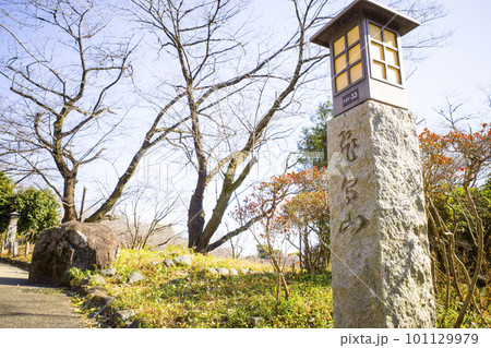 飛鳥山公園の風景 飛鳥山公園の風景 101129979