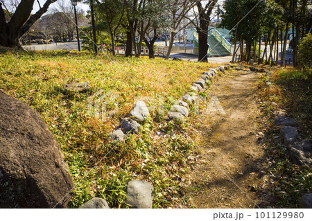 飛鳥山公園の風景 101129980