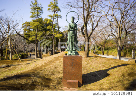 飛鳥山公園の風景 101129991