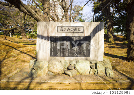 飛鳥山公園の風景 101129995