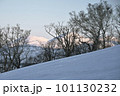 夜明けのゲレンデ 101130232