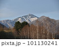 残雪の日高山脈 101130241